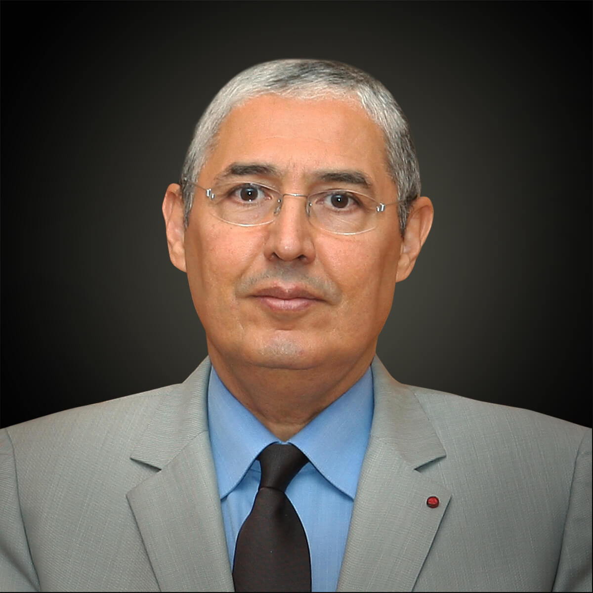 Mohamed El Kettani, Chairman & Chief Executive Officer, Attijariwafa Bank