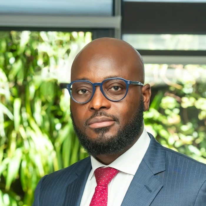 Constant N'Zi, Chief Executive Officer, Africa Guarantee Fund
